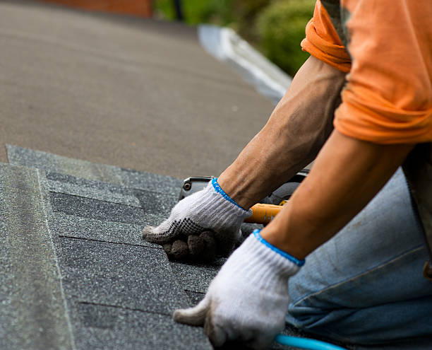 Best Roof Replacement Cost  in Forest Park, IL